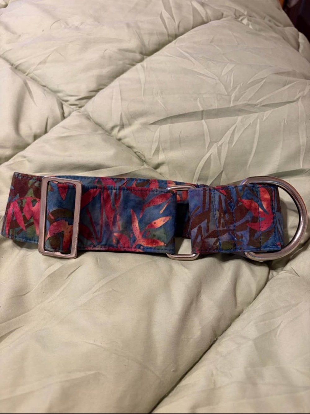Two 2” martingale dog collars and 4’ leash. 14-18” neck. Greyhound or whippet - Picture 7 of 9